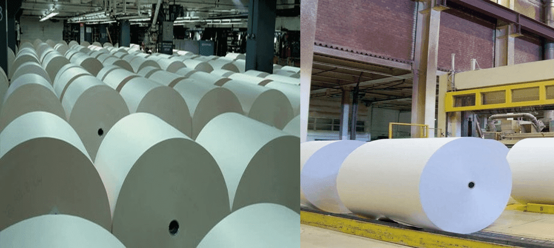 Jumbo Paper Rolls Exporters